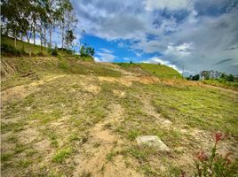 Terrain à vendre à La Ceja, Antioquia, La Ceja, Antioquia, Colombie