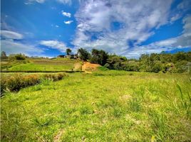  Land for sale in El Carmen De Viboral, Antioquia, El Carmen De Viboral