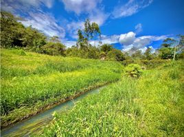  Land for sale in El Carmen De Viboral, Antioquia, El Carmen De Viboral