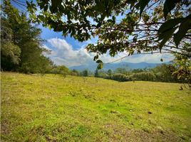  Grundstück zu verkaufen in La Ceja, Antioquia, La Ceja