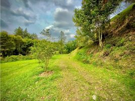  Grundstück zu verkaufen in La Ceja, Antioquia, La Ceja, Antioquia