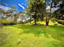  Land for sale in El Carmen De Viboral, Antioquia, El Carmen De Viboral