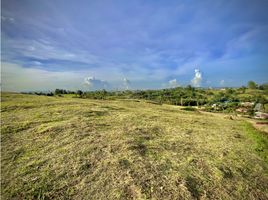  Land for sale in El Carmen De Viboral, Antioquia, El Carmen De Viboral