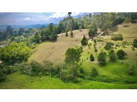  Grundstück zu verkaufen in Rionegro, Antioquia, Rionegro, Antioquia