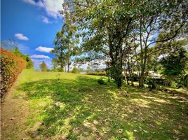  Terreno (Parcela) en venta en La Ceja, Antioquia, La Ceja