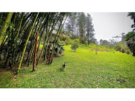 Terrain à vendre à Retiro, Antioquia, Retiro