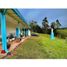  Land for sale in La Ceja, Antioquia, La Ceja