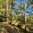 Terrain à vendre à La Ceja, Antioquia, La Ceja, Antioquia