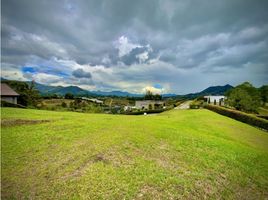  Land for sale in El Carmen De Viboral, Antioquia, El Carmen De Viboral