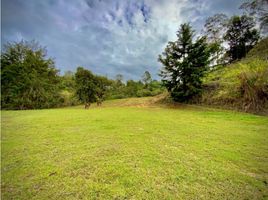  Land for sale in Rionegro, Antioquia, Rionegro