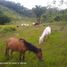  Land for sale in Remedios, Antioquia, Remedios