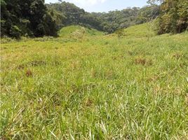  Land for sale in Remedios, Antioquia, Remedios