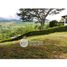 Land for sale in Neira, Caldas, Neira