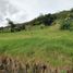  Terrain for sale in Villa De Leyva, Boyaca, Villa De Leyva