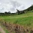  Terrain for sale in Villa De Leyva, Boyaca, Villa De Leyva