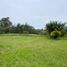  Land for sale in El Carmen De Viboral, Antioquia, El Carmen De Viboral