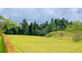  Land for sale in Medellin, Antioquia, Medellin, Antioquia