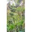  Land for sale in Medellin, Antioquia, Medellin, Antioquia