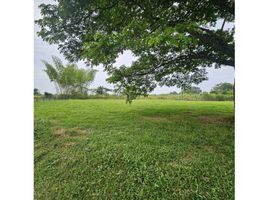  Terreno (Parcela) en venta en Valle Del Cauca, Jamundi, Valle Del Cauca