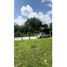  Land for sale in Circasia, Quindio, Circasia