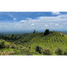  Land for sale in Alto Boquete, Boquete, Alto Boquete