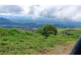  Terreno (Parcela) en venta en Alto Boquete, Boquete, Alto Boquete