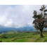  Terrain for sale in Alto Boquete, Boquete, Alto Boquete