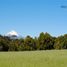  Terrain for sale in Puerto Varas, Llanquihue, Puerto Varas