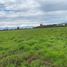  Land for sale in Buin, Maipo, Buin