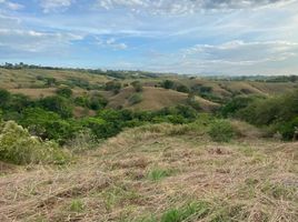  Land for sale in Pereira, Risaralda, Pereira