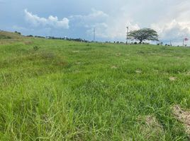  Land for sale in Pereira, Risaralda, Pereira