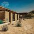  Land for sale in General Cepeda, Coahuila, General Cepeda