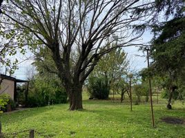  Land for sale in General Pueyrredon, Buenos Aires, General Pueyrredon