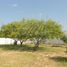 3 Bedroom Villa for sale in Villaldama, Nuevo Leon, Villaldama