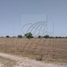  Terreno (Parcela) en alquiler en Nuevo León, Pesqueria, Nuevo León