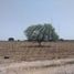  Terreno (Parcela) en alquiler en Nuevo León, Pesqueria, Nuevo León