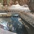  Land for sale in Sacramento, Coahuila, Sacramento