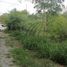 Land for rent in Garcia, Nuevo Leon, Garcia