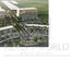  Land for sale in Merida, Yucatan, Merida, Yucatan