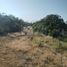  Land for sale in Padilla, Tamaulipas, Padilla