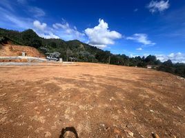  Terreno (Parcela) en venta en Guarne, Antioquia, Guarne