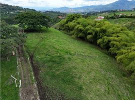  Terreno (Parcela) en venta en Dosquebradas, Risaralda, Dosquebradas