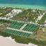  Land for sale in Dzemul, Yucatan, Dzemul