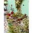 4 Habitación Casa en venta en Morelia, Michoacán, Morelia, Michoacán