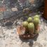 Maison 5 chambre à vendre à Queretaro, Queretaro, Queretaro, Queretaro