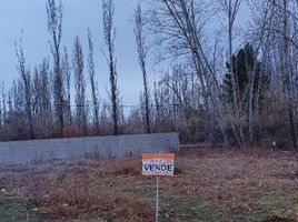  Terreno (Parcela) en venta en Rio Negro, General Roca, Rio Negro