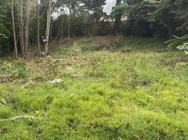  Land for sale in Pinamar, Buenos Aires, Pinamar