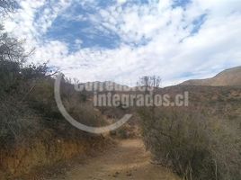  Land for sale in Melipilla, Santiago, Curacavi, Melipilla