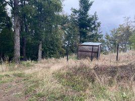  Grundstück zu verkaufen in Cautin, Araucania, Pucon