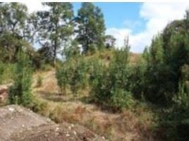  Terrain for sale in Villarrica, Cautin, Villarrica